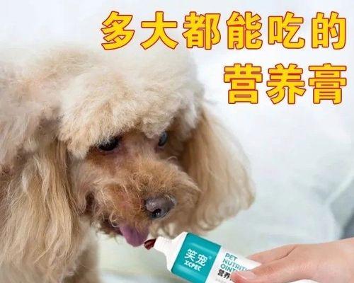 文章详情图片
