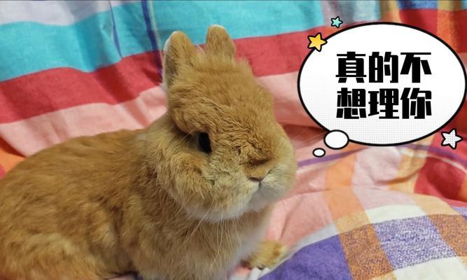 文章详情图片