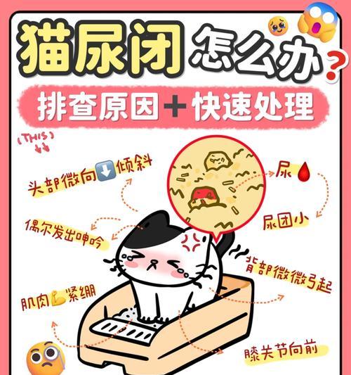 文章详情图片