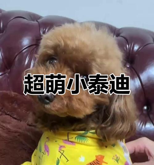 文章详情图片