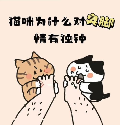 文章详情图片