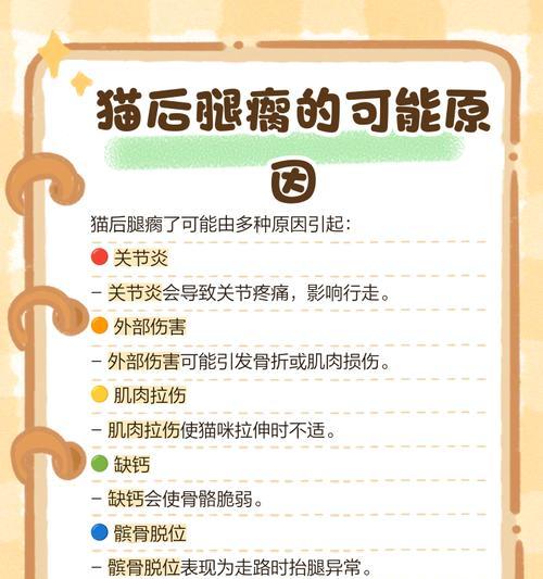 文章详情图片