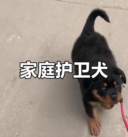 文章详情图片