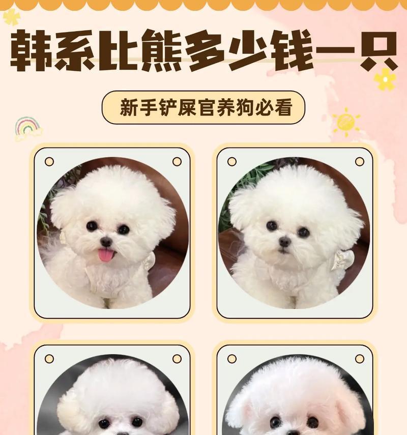 文章详情图片