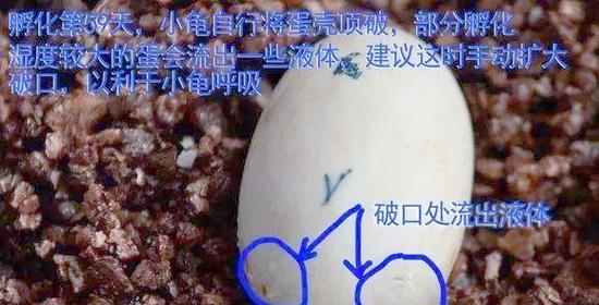 文章详情图片