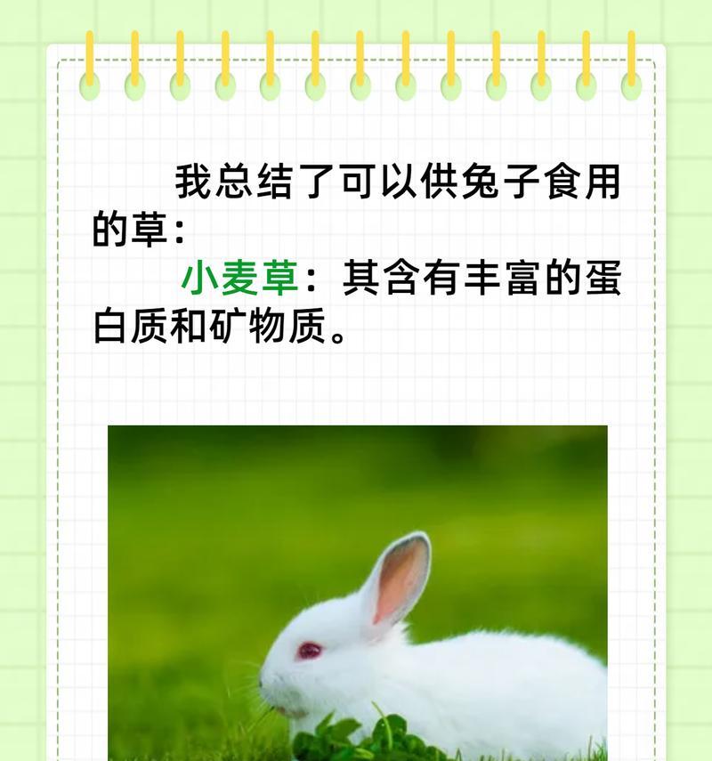 文章详情图片