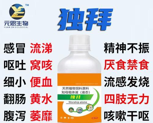 文章详情图片