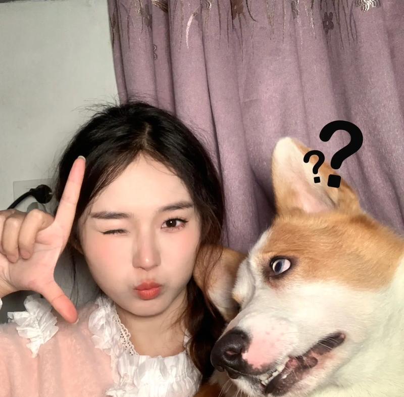 文章详情图片