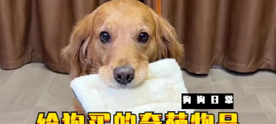 文章详情图片