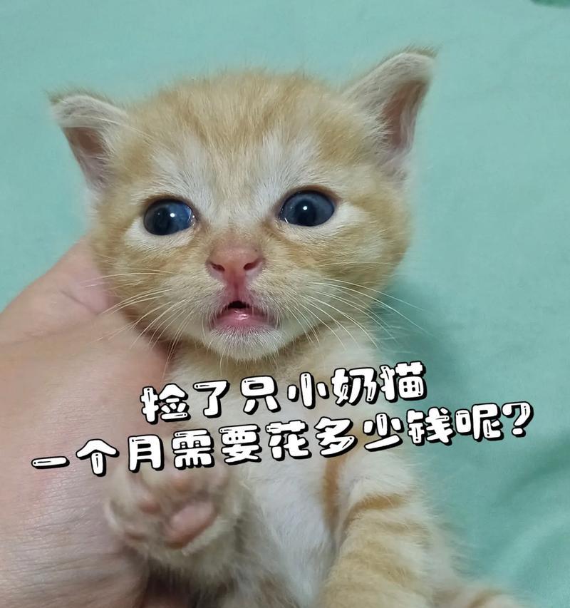 文章详情图片