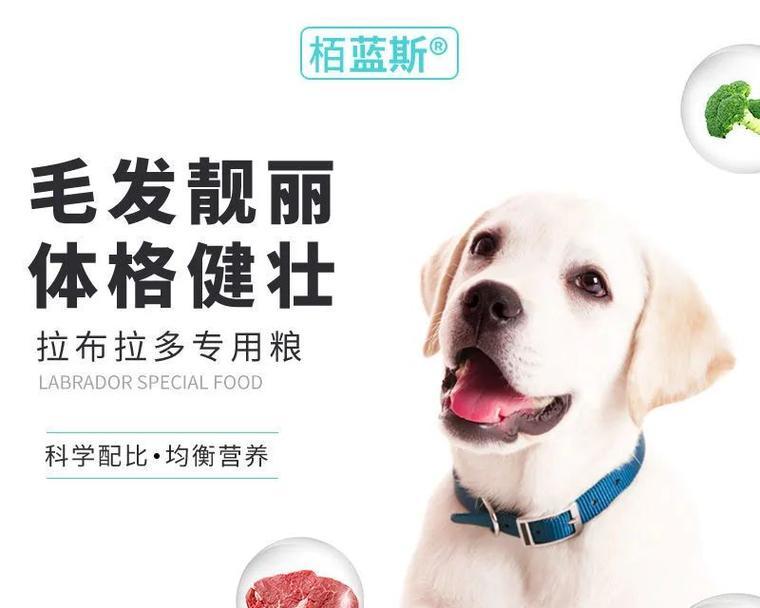文章详情图片