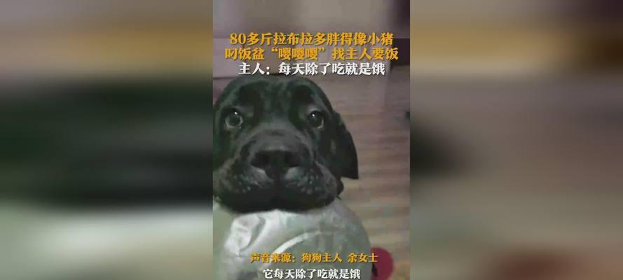 文章详情图片