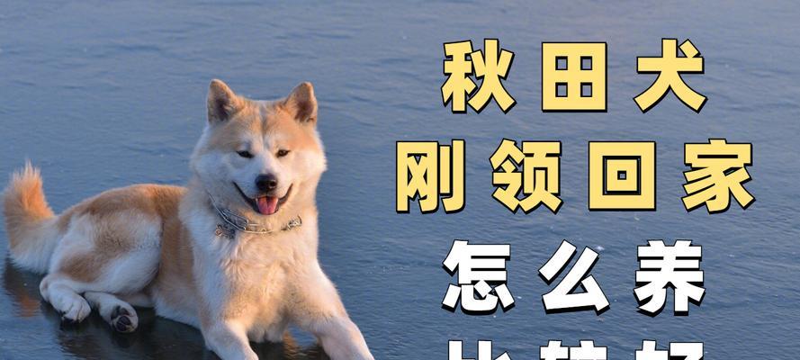 文章详情图片