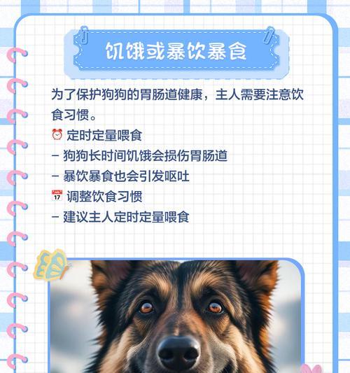 文章详情图片