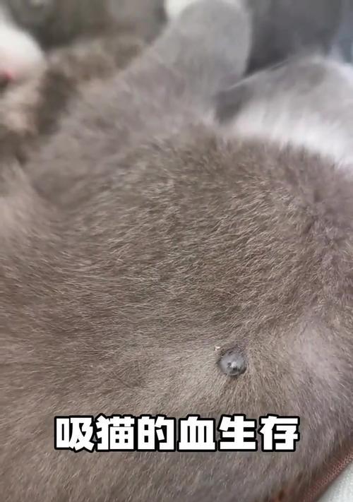 文章详情图片