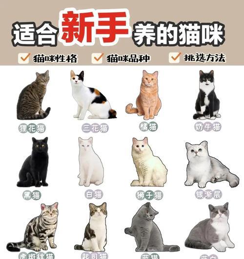 文章详情图片