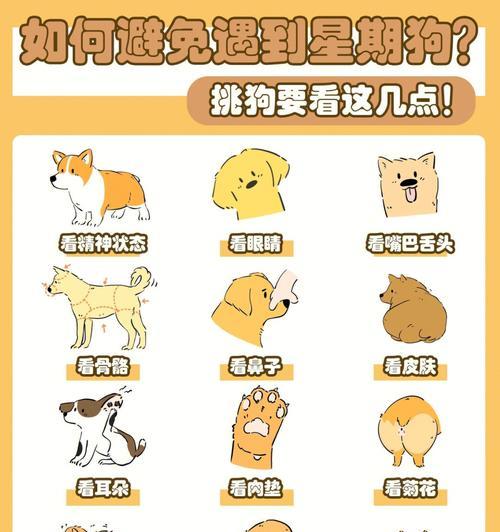 文章详情图片