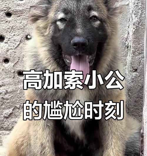 文章详情图片