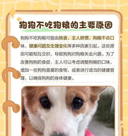 文章详情图片