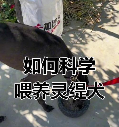 文章详情图片