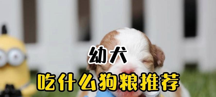 文章详情图片