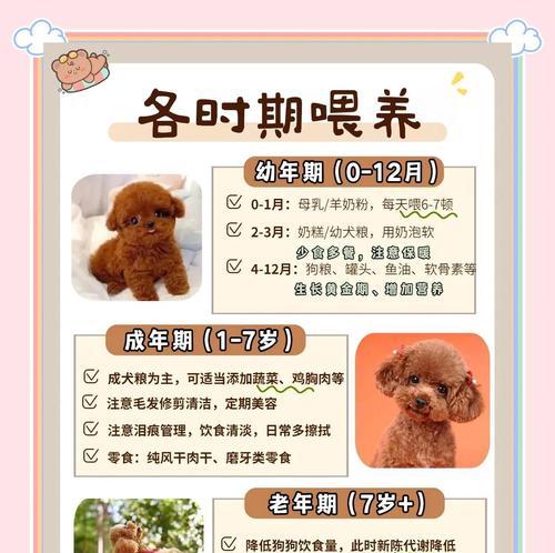 文章详情图片