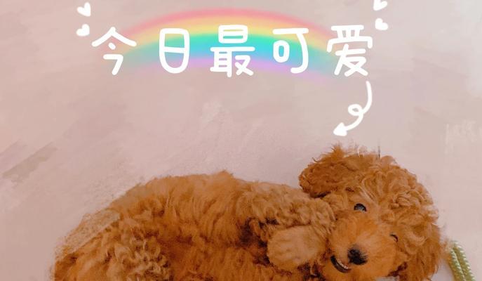 文章详情图片