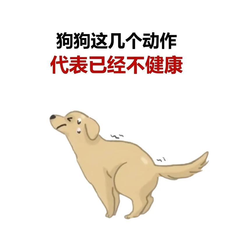 文章详情图片