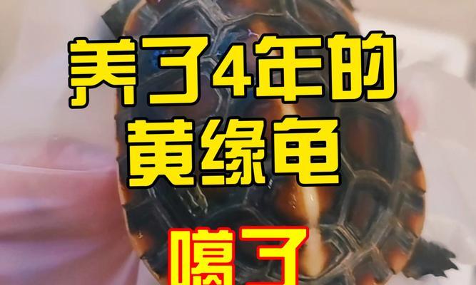 文章详情图片