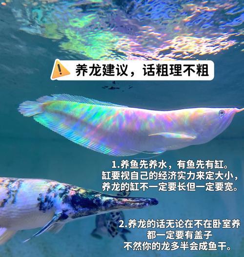 文章详情图片