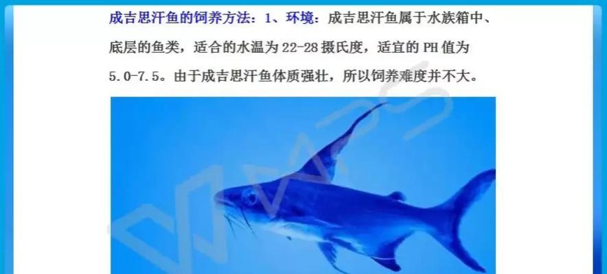 文章详情图片