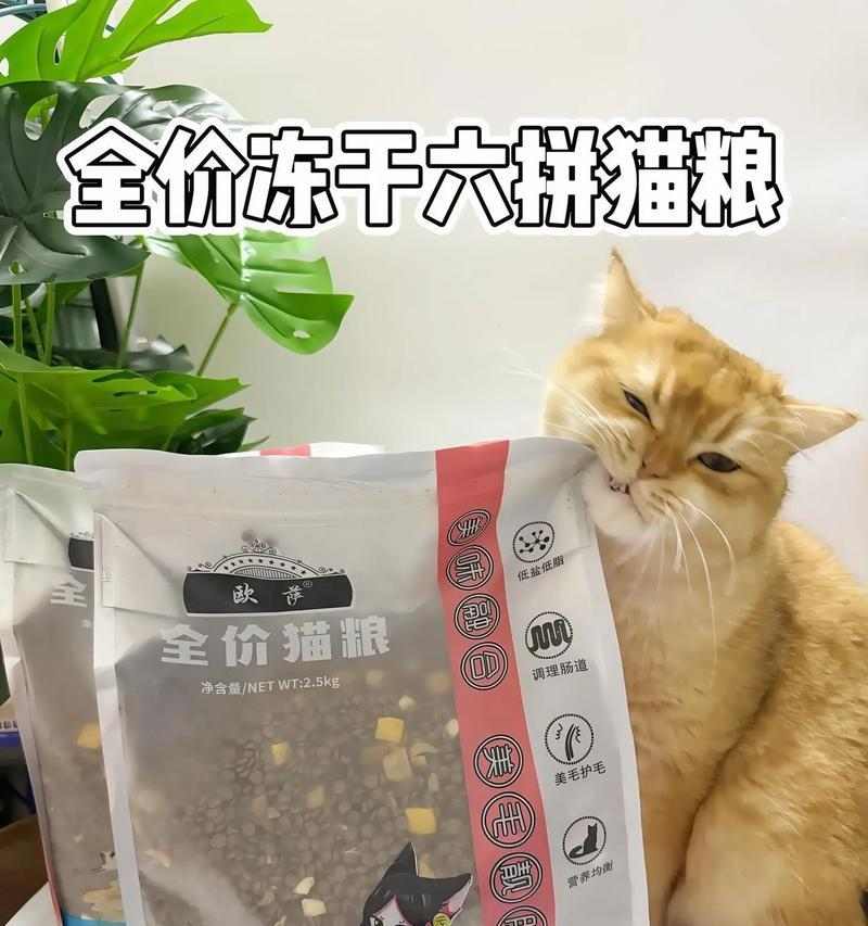 文章详情图片