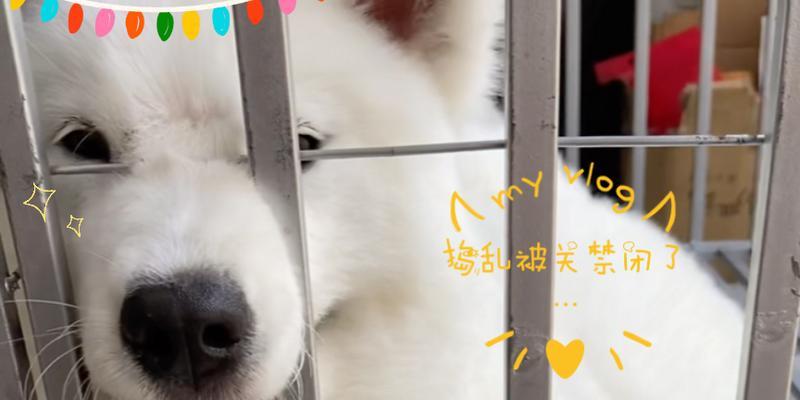 文章详情图片