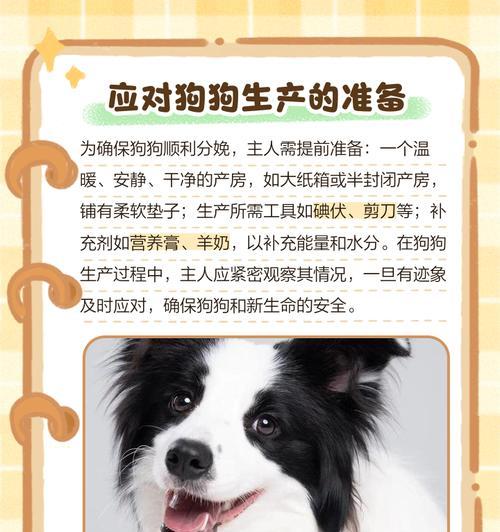文章详情图片