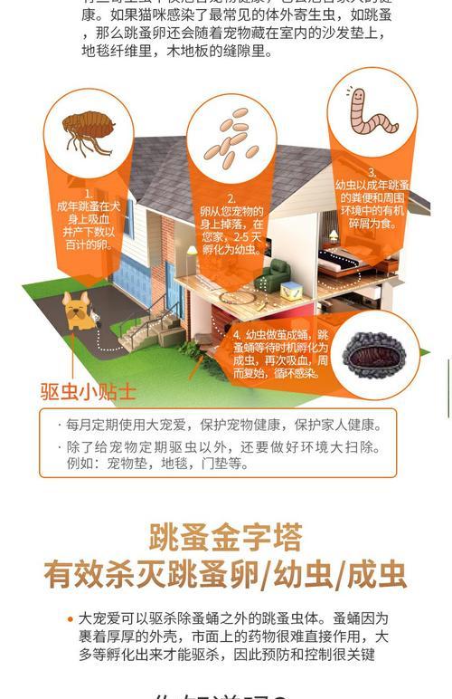 文章详情图片