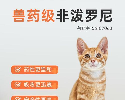 文章详情图片