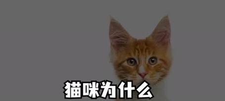 文章详情图片