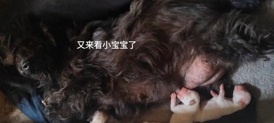 文章详情图片