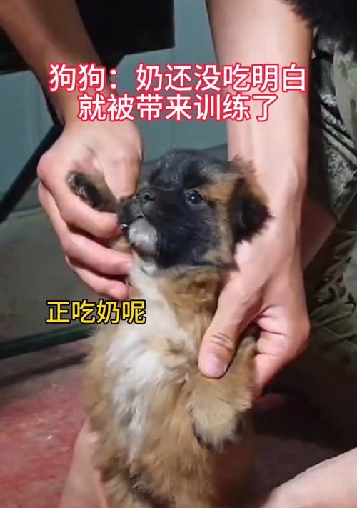 文章详情图片