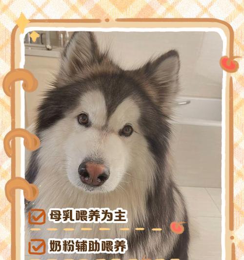 文章详情图片