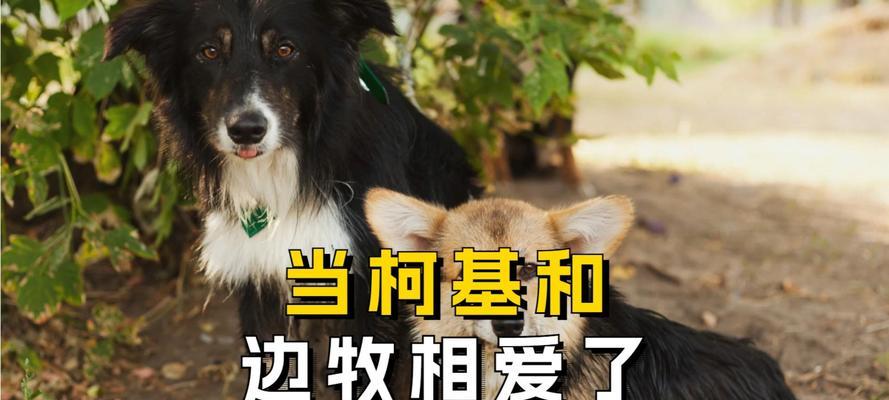 文章详情图片