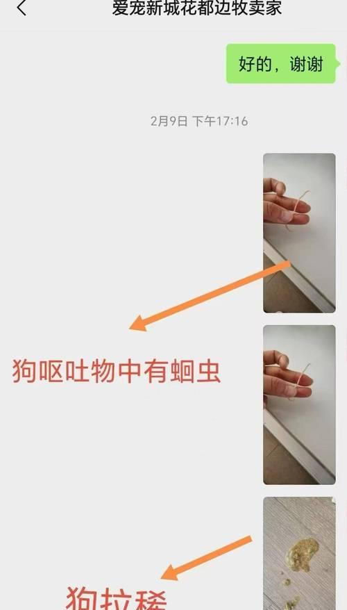 文章详情图片