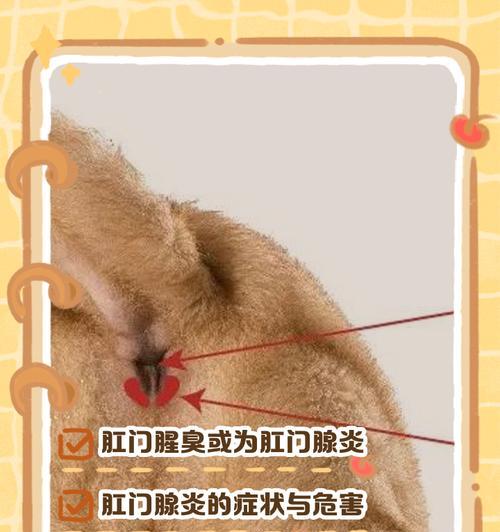 文章详情图片