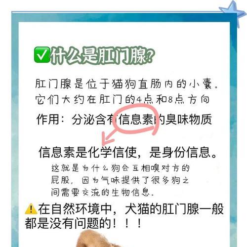文章详情图片