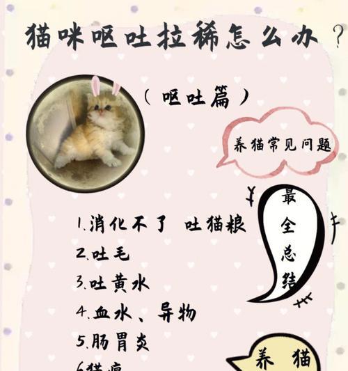 文章详情图片
