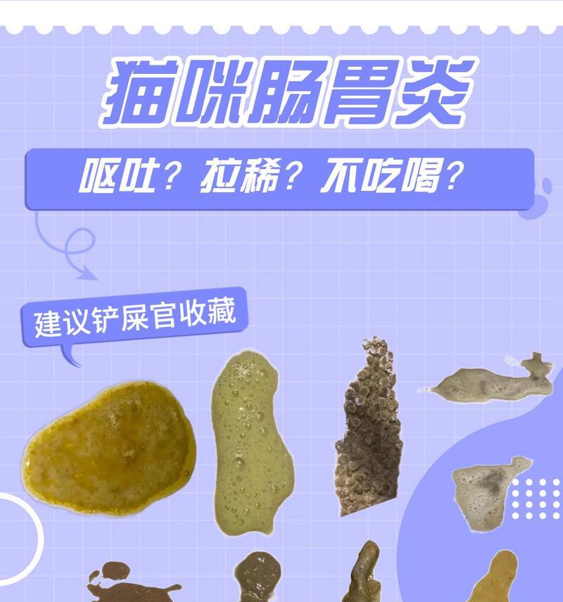 文章详情图片