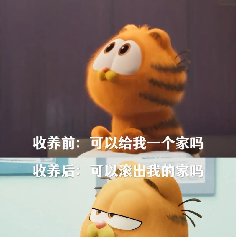 文章详情图片