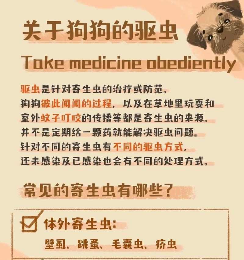 文章详情图片