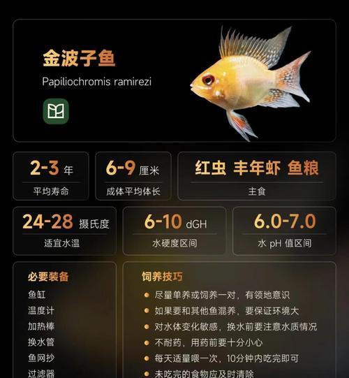 文章详情图片