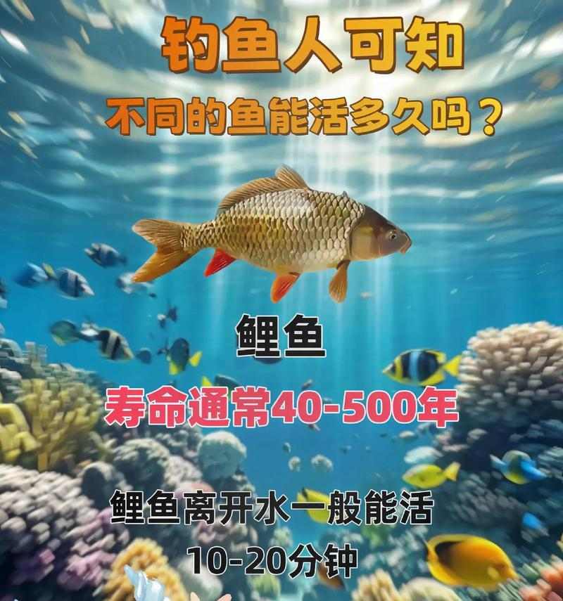 文章详情图片